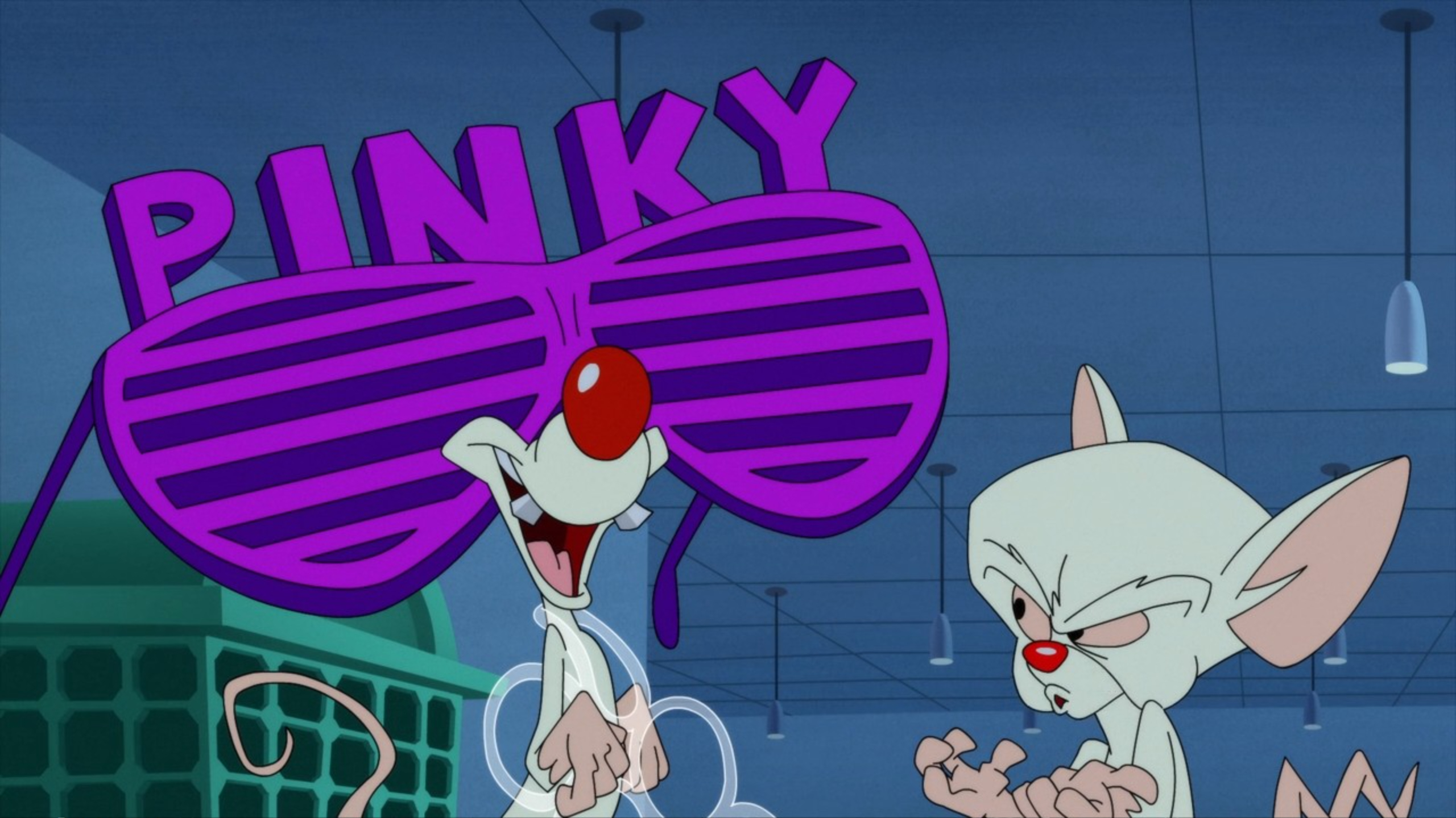 Pinky & the Brain -  Canada