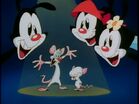 Animaniacs opening