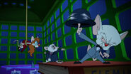 Brain battles the nefarious Egwind