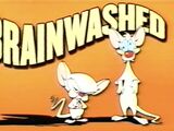 Pinky and the Brain: Brainwashed