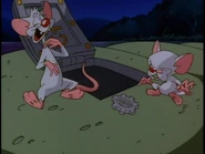 "Naughty frog! Narf!"