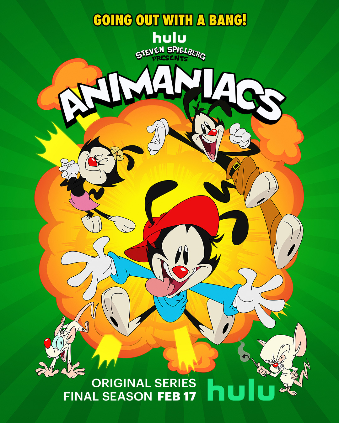 Animaniacs (2020 TV series), Animaniacs Wiki