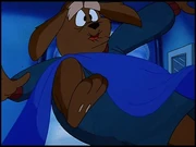 The Nameless Old Dog 