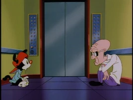 Thumbnailhuluanimaniacs52