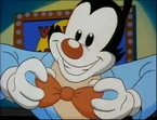 Episode 24, "Yakko's World of Baldness"