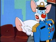 Meet John Brain 8.jpg (63 KB)