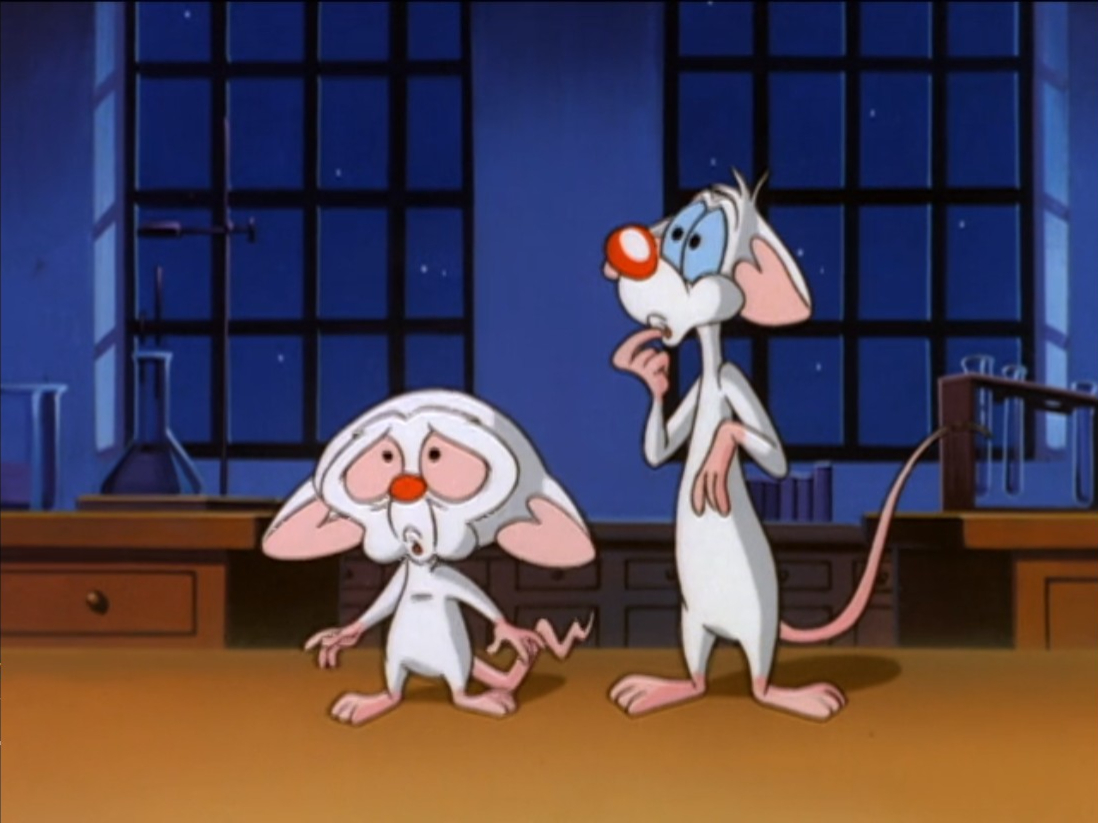 Animaniacs, Pinky and the Brain Take Over the Derby