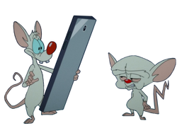 PATB on the smartphone