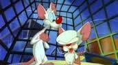 "the same thing we do every night, Pinky, try to take over the world!"