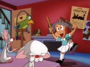 Pinky, Elmyra and the Brain