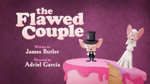 The Flawed Couple Title