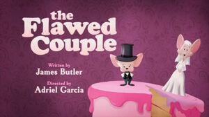 The Flawed Couple Title.jpg