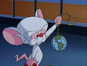 Brain in Pinky and the Brain.
