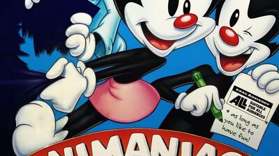 Animaniacs Game Pack, Animaniacs Wiki