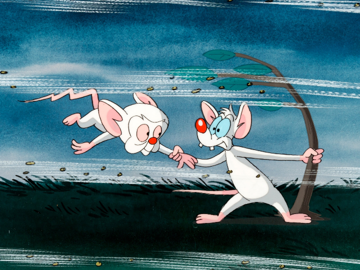 Pinky and the Brain Pinky and the Brain S02 E014 Brain of the Future -  video Dailymotion