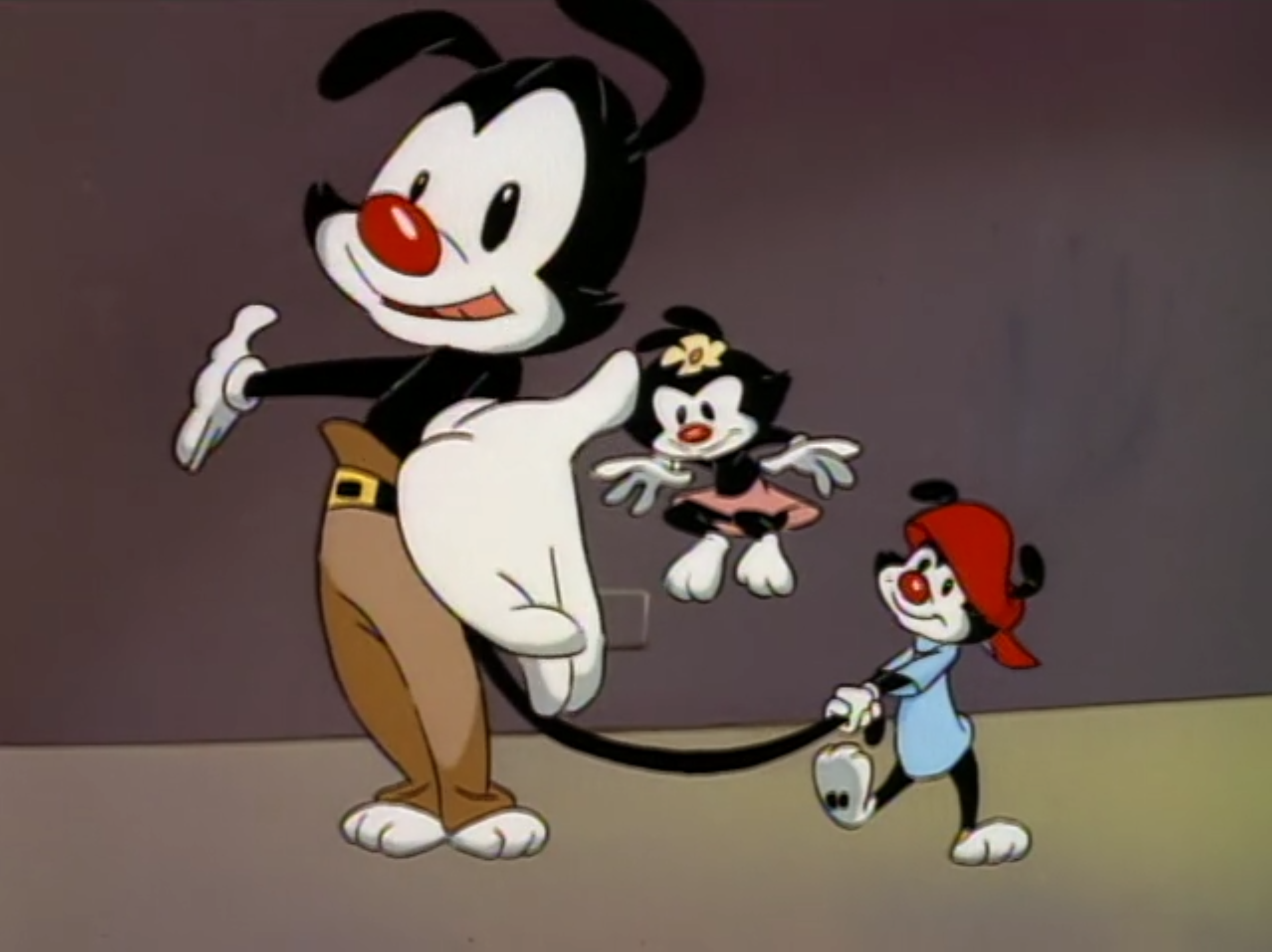 Anima-Nyet (song), Animaniacs Wiki