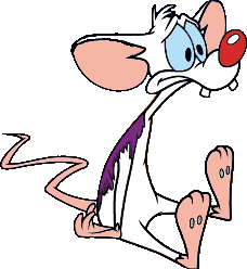 Pinky and the Brain/Gallery, Animaniacs Wiki