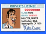 Mr-Director-Reboot-License