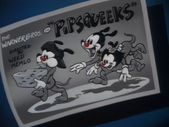 Pipsqueeks