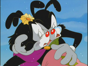 Yakko cries over Dot's Dead Body