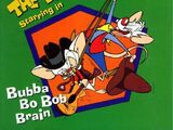 Bubba Bo Bob Brain (album)