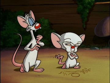  Pinky and the Brain: Mice of the Jungle [VHS] : Pinky & the  Brain: Movies & TV