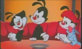 GALLETAS DE LA FORTUNA