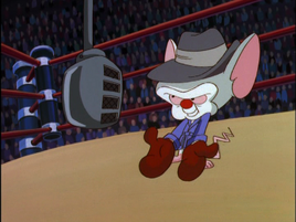 What A Mouse cover