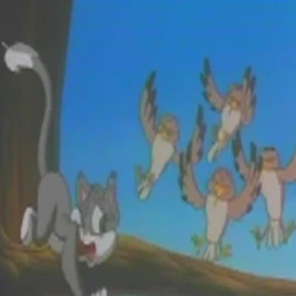 La canción de tan temerosa ella es