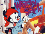 Wakko's Wacky Sack