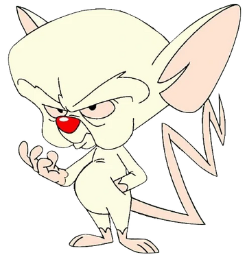 Pinky and the Brain, Animaniacs Wiki