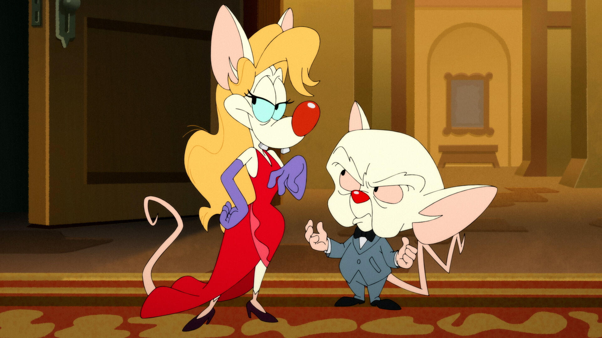 Pinky and The Brain: The Master Plan, Animaniacs Wiki