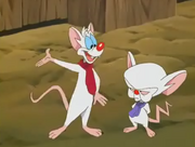 Pinky and the Brain in Wakko's Wish.