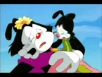 Yakko mourns over Dot’s death
