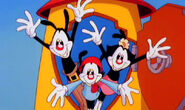 It's time for Animaniacs!