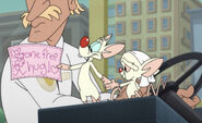 Pinky and Brain Bus Ticket