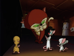 Pinky & The Brain Explored - A Forgotten Gem, Hilarious