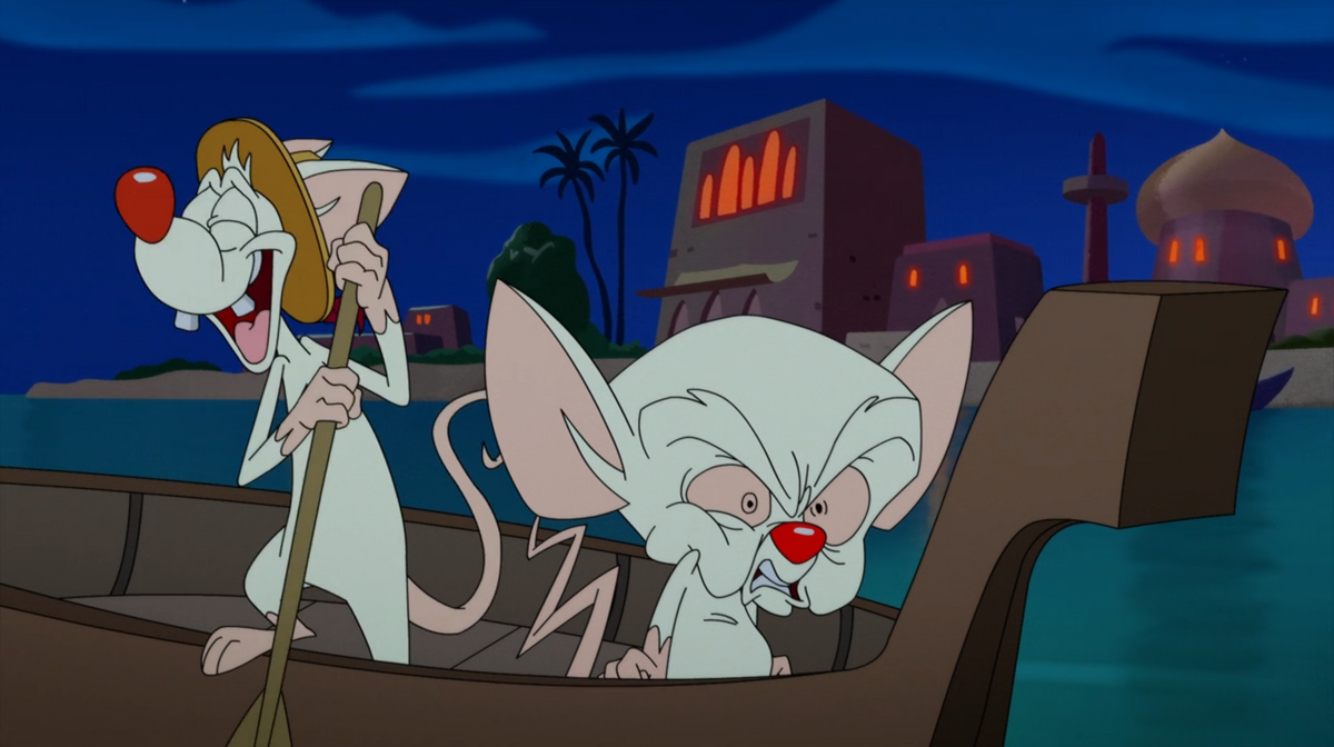 Animaniacs, Pinky and the Brain Become Country Singers 🤠, Classic  Cartoon