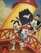 Animaniacs Volume 2 (VHS) | Animaniacs Wiki | Fandom