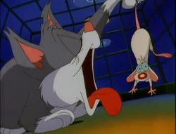 35-Pinky and the Cat