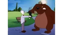 Dar de comer a un oso