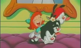 MIREN ES CABEZA DE ALGODÓN