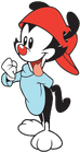 Wakko main model