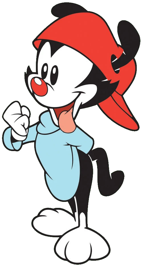 animaniacs wakko face