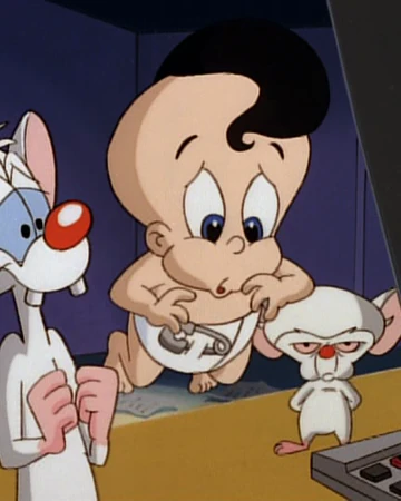 Episode 22 Patb Two Mice And A Baby The Maze Animaniacs Wiki Fandom