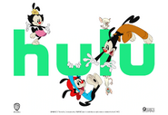 Promotional art used in Hulu's August 2020 press release.