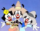 635958089683436623500190396 Animaniacs