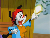 Wakko's got a ha'penny