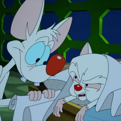 Category:Yakko, Wakko, and Dot Episodes | Animaniacs Wiki