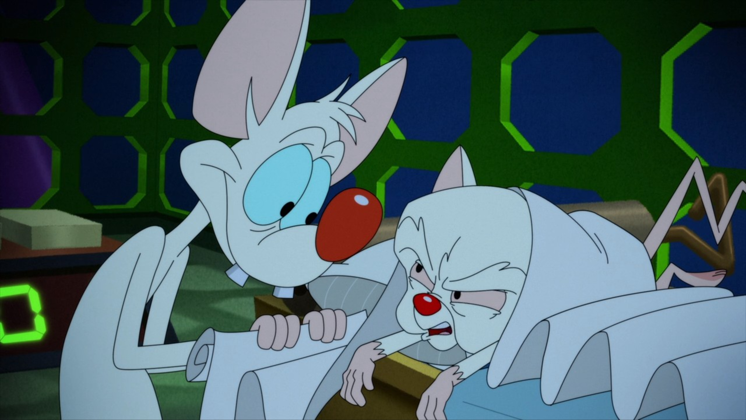 Godpigeon, Animaniacs Wiki